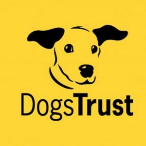Dogs Trust Logo - Yellow and black
